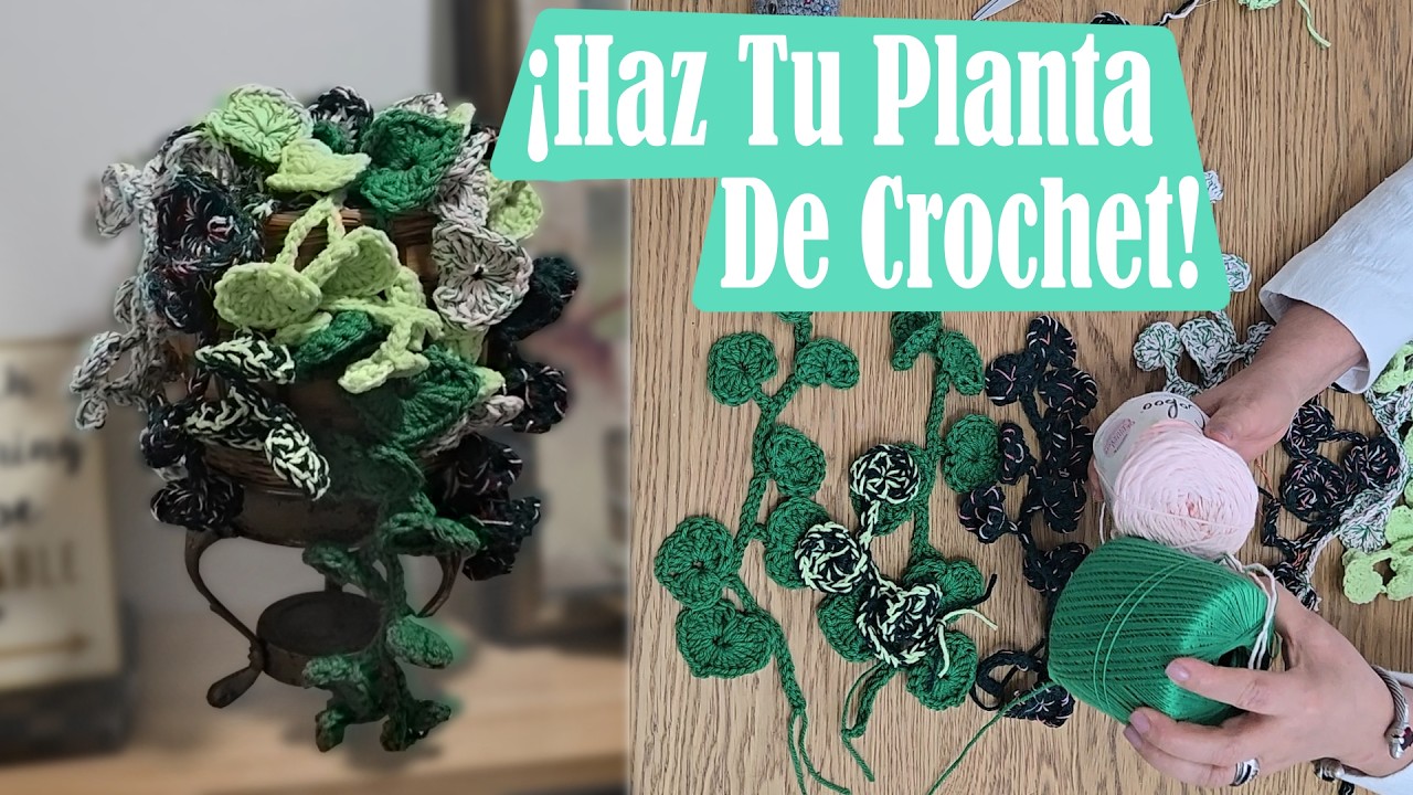 ¡Haz Esta Hermosa Planta de Corchet! 🌿 ¡Aprende Paso a Paso Conmigo!🌿