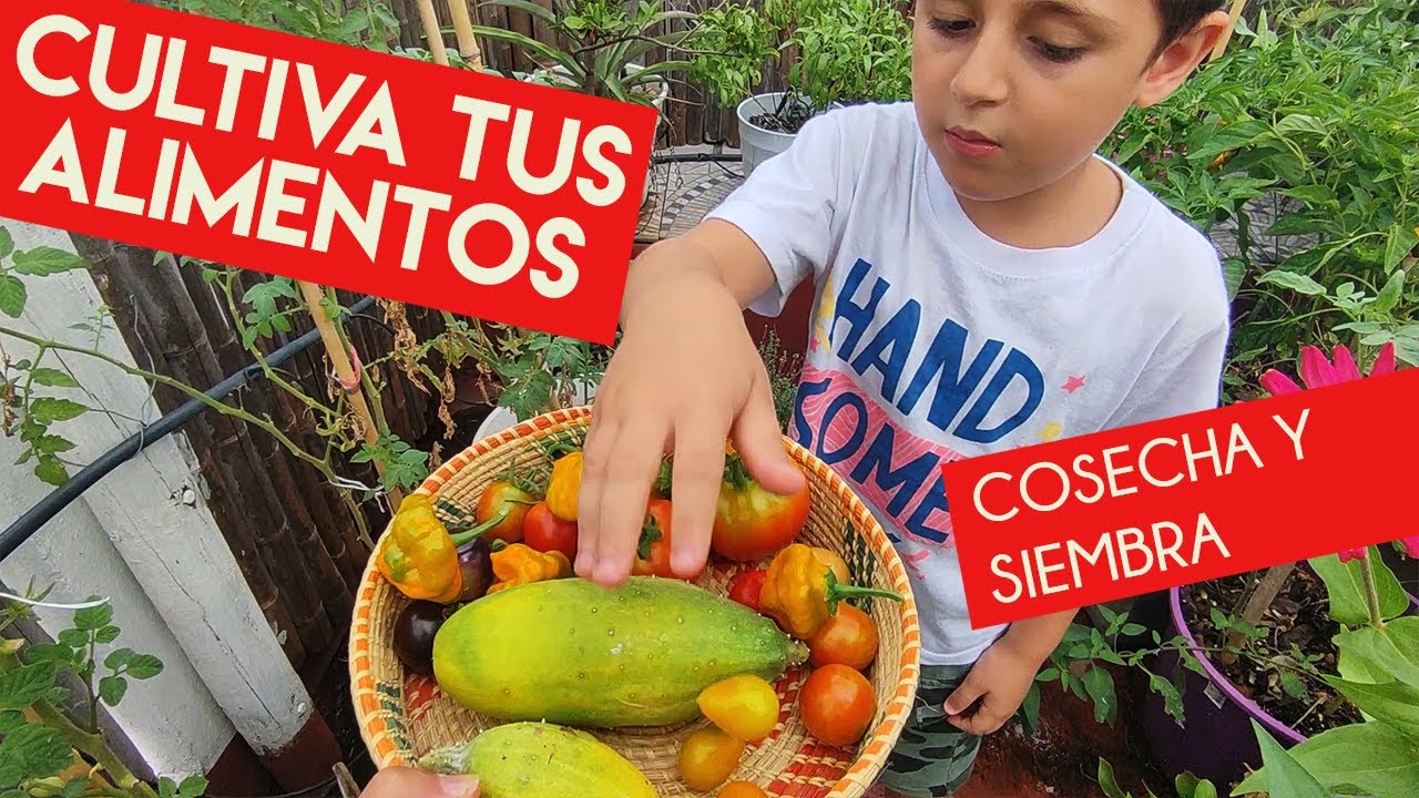 Descubr&iacute; c&oacute;mo producir alimentos en casa!