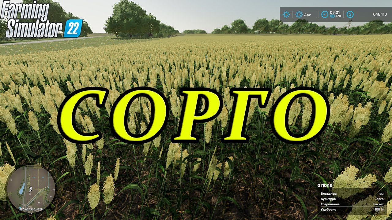 Farming Simulator 22 - Сорго. Новая культура. Первая обнова.