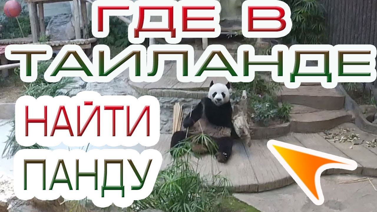 Чиангмайский зоопарк (часть 1) - Таиланд