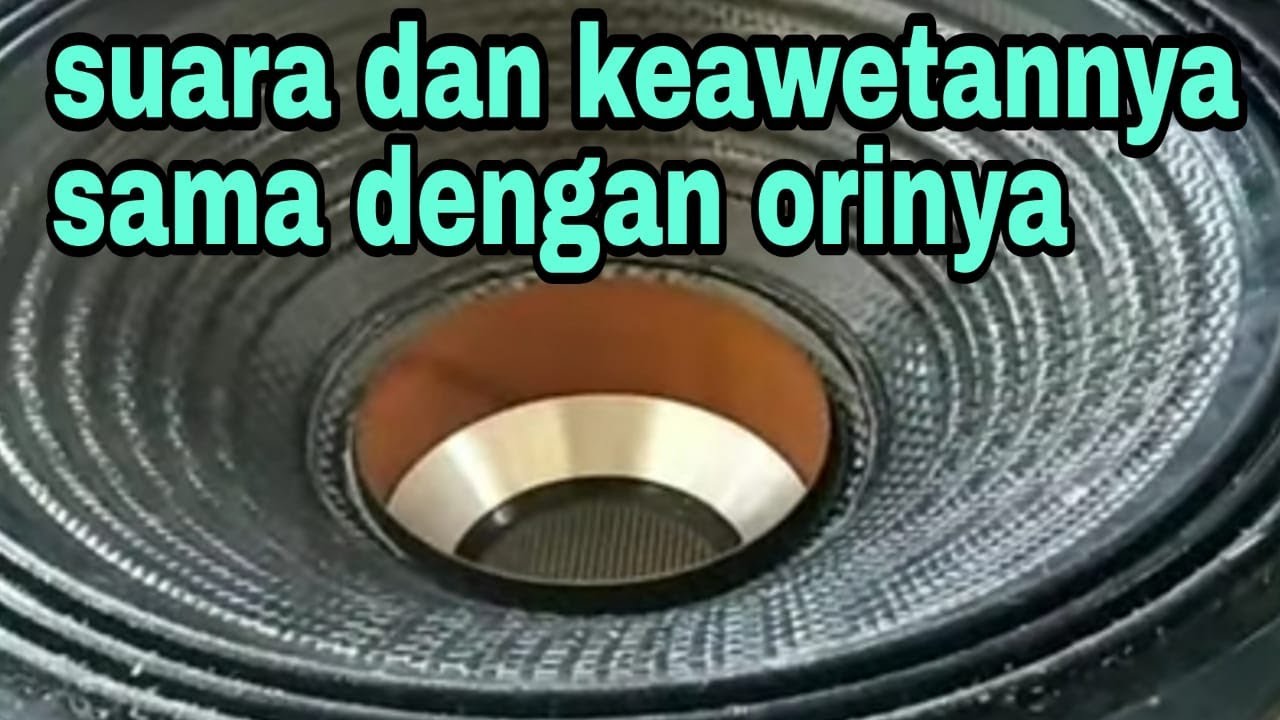 cara mengganti spool dan damper speaker daun carbon