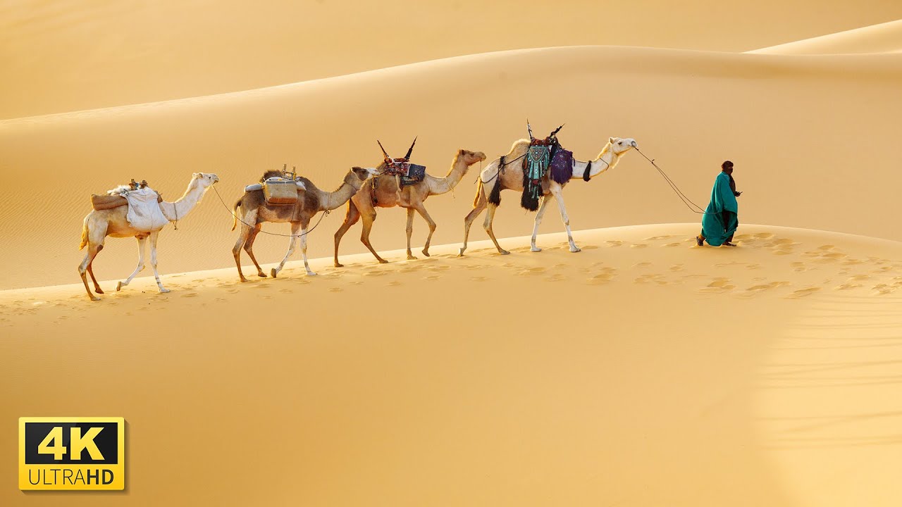 Beautiful Desert Landscape in 4K Video Ultra HD with Relaxing Music