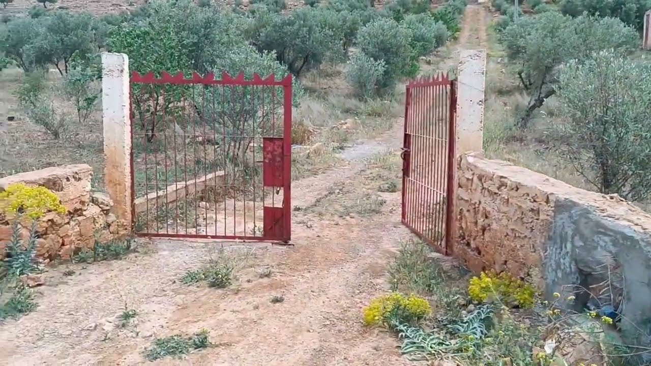 فيرما للبيع نواحي صفرو مجهزة طريق ضوء الماء أوراق محافظه بئر سكنى رائعة 90 مليون عند جمال0679444657