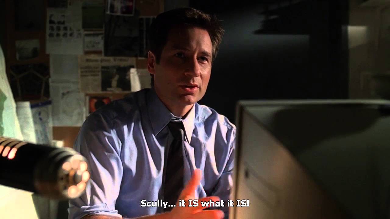 The X Files IT IS WHAT IT IS Dana Scully Fox Mulder 7x21 Say it is what it is
