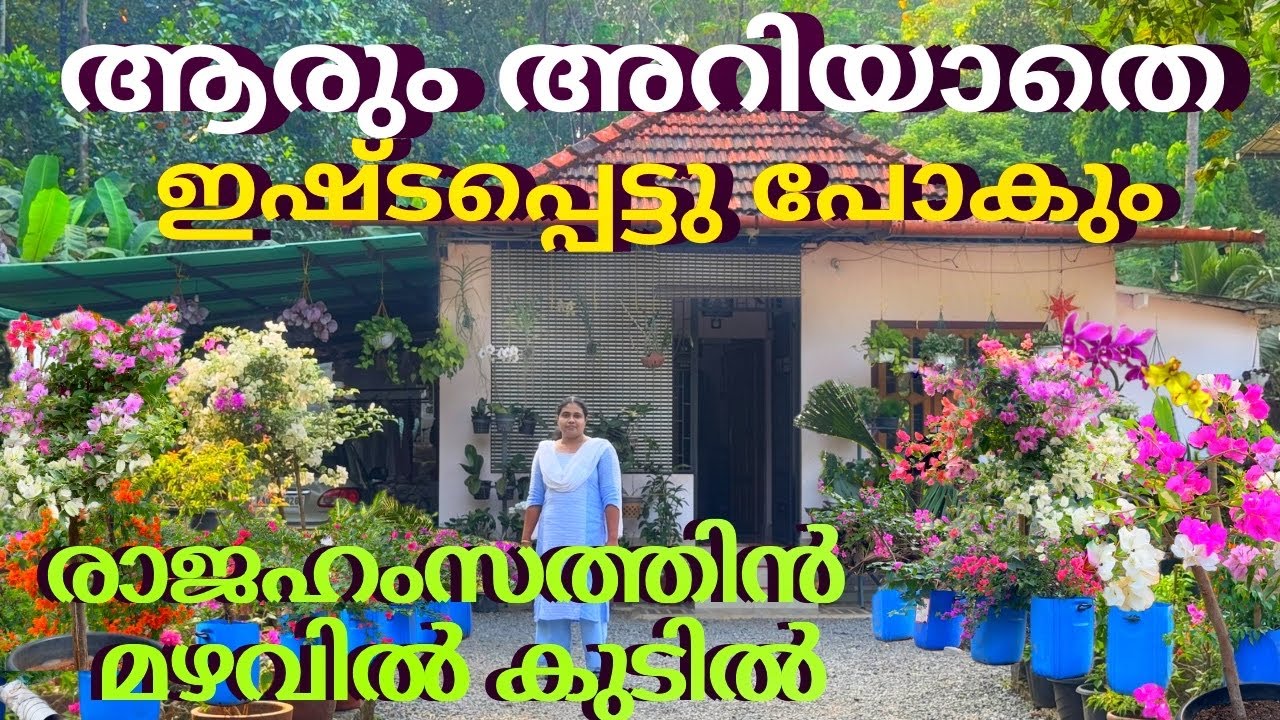 കൗതുകങ്ങൾ നിറച്ച കാഴ്ചകളും,ഒപ്പം പരിധിക്ക് അപ്പുറമുള്ള അറിവുകളും‼️ഒളിപ്പിച്ചുവെച്ച,,,⁉️,,,മാധുര്യവും