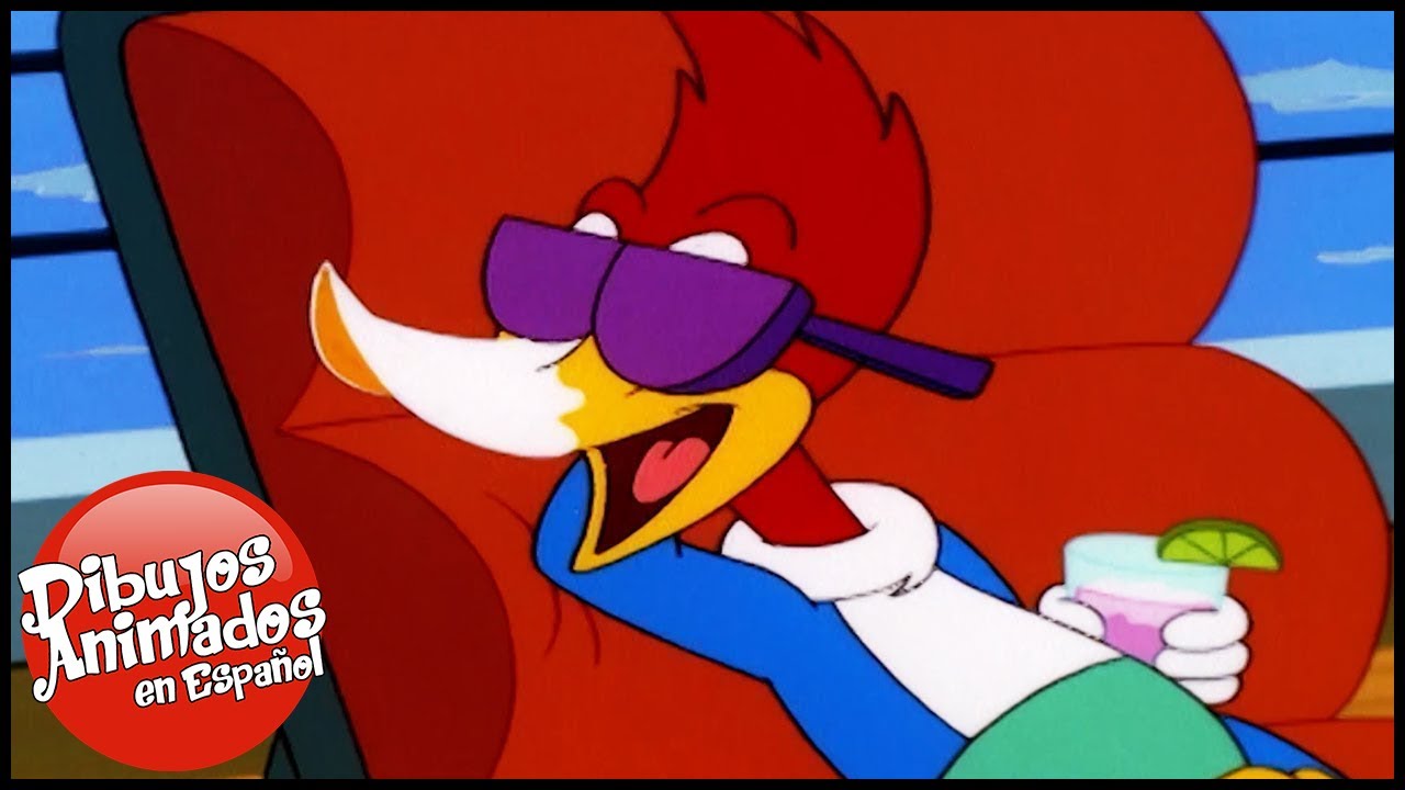 El Pajaro Loco en Español | De tal Padre, no es tal Hijo | Dibujos Animados en Español