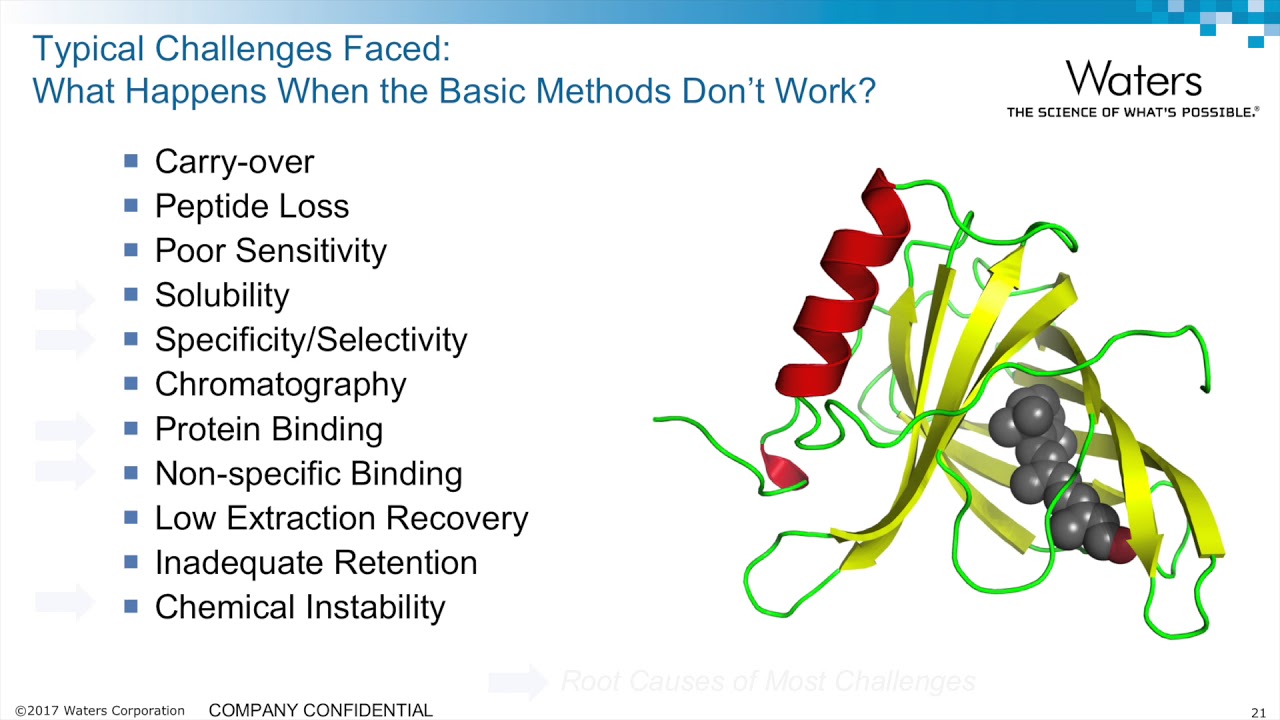 LC-MS/MS for Bioanalytical Peptide and Protein Quantification: Chromatographic Considerations