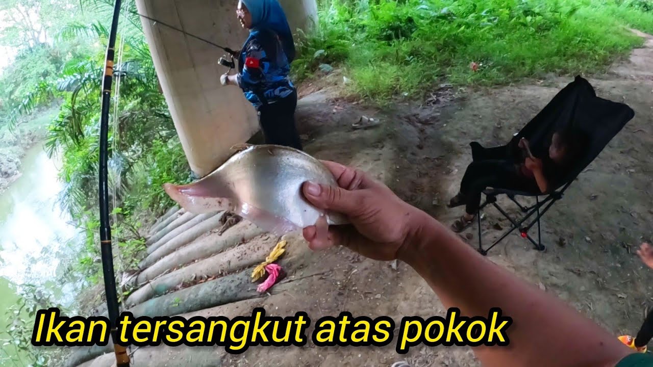 Memancing Di Bawah Jambatan #gengdunia