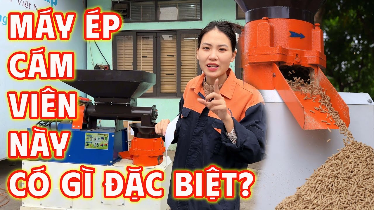 BÀN GIAO Máy Ép Cám Viên S250 - 4 Lô Liên Hoàn Có Gì Đặc Biệt? Bình Quân