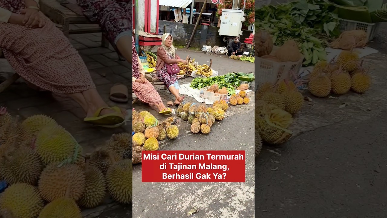 Berburu durian di pasar tajinan #pasartradisional #pasartajinan #exploremalang