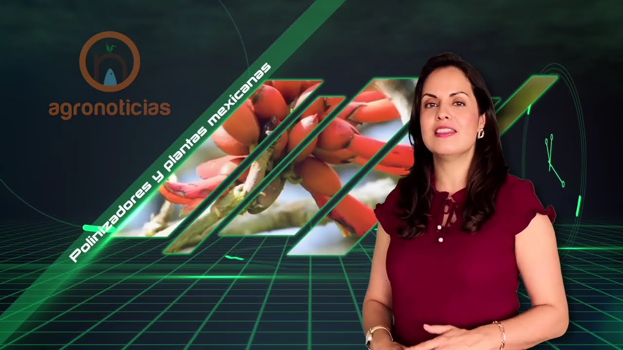 AGRONOTICIAS PROGRAMA 503