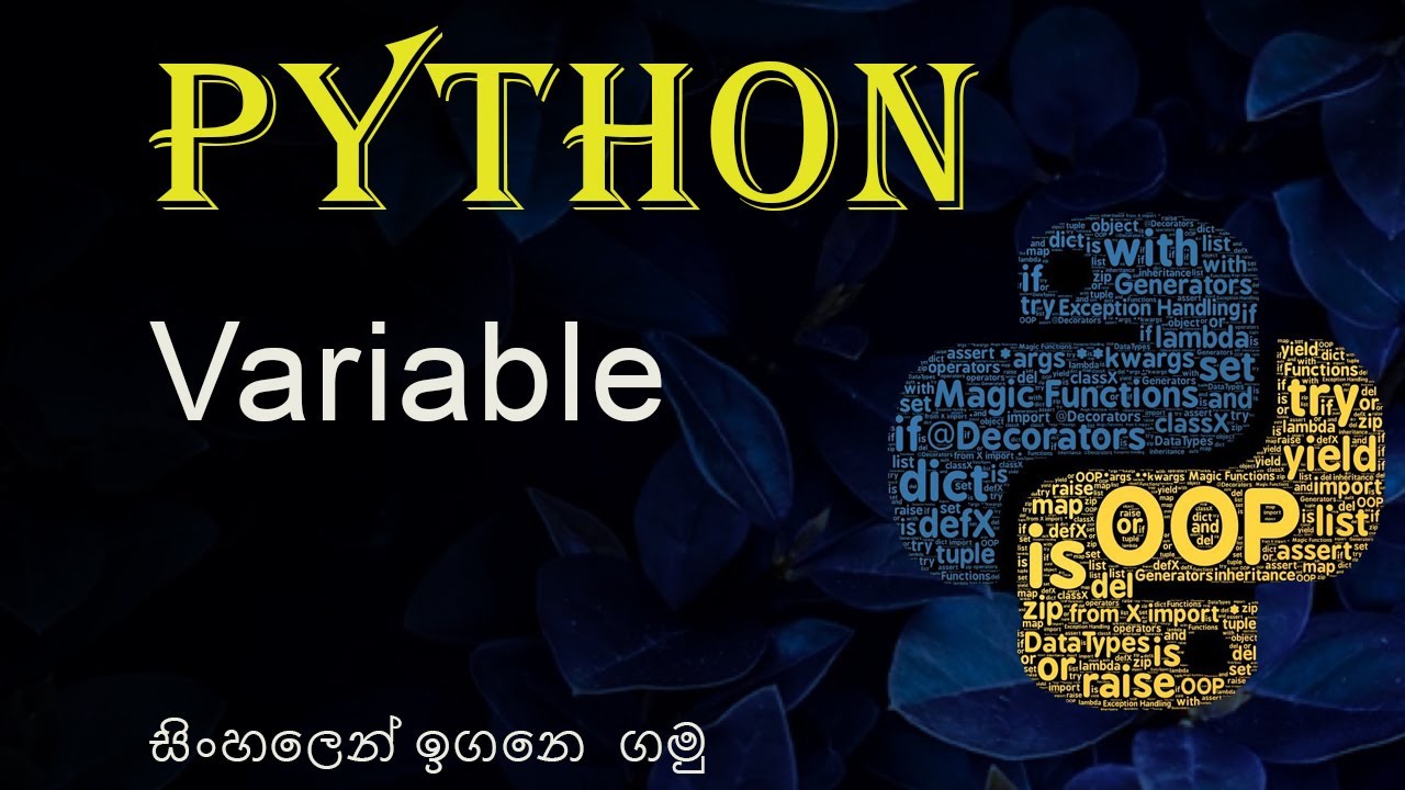 Python Tutorial - 01 | Variables and Data Types | Sinhala