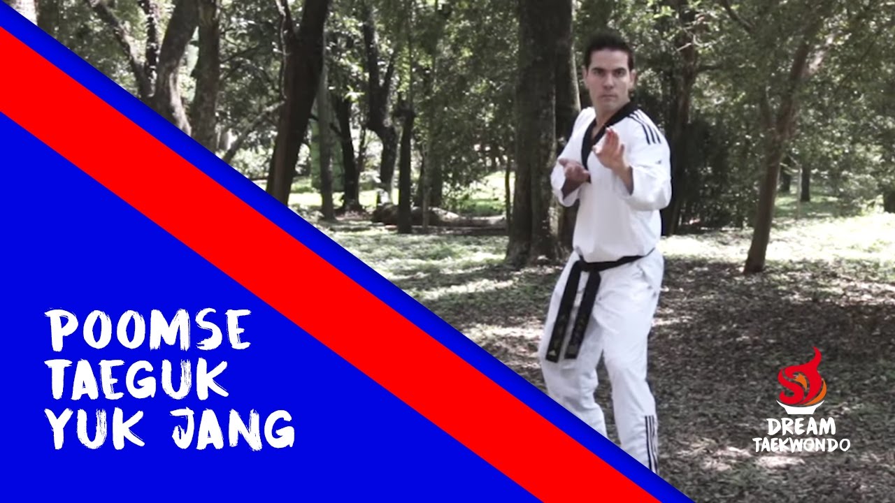 Movimento Faixa Ponta Vermelha - Taeguk Yuk Jang