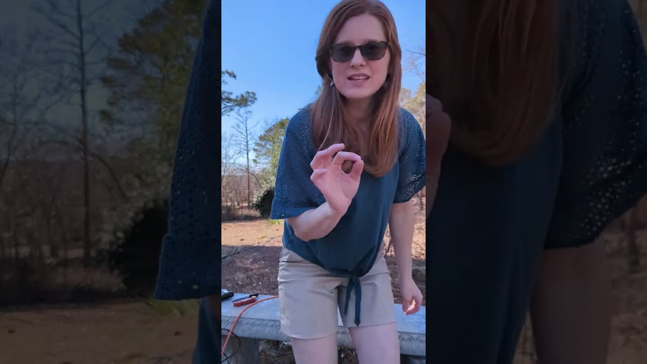 BEEHIVE for VBS 2025 Lifeway Magnify GOD :  How it's made!