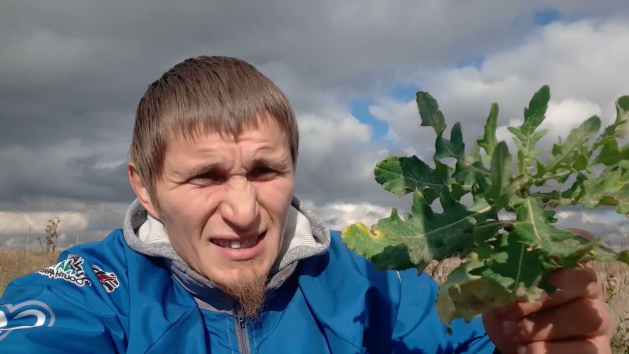 Бодяк полевой, осот розовый - пастбищные выживальщики.