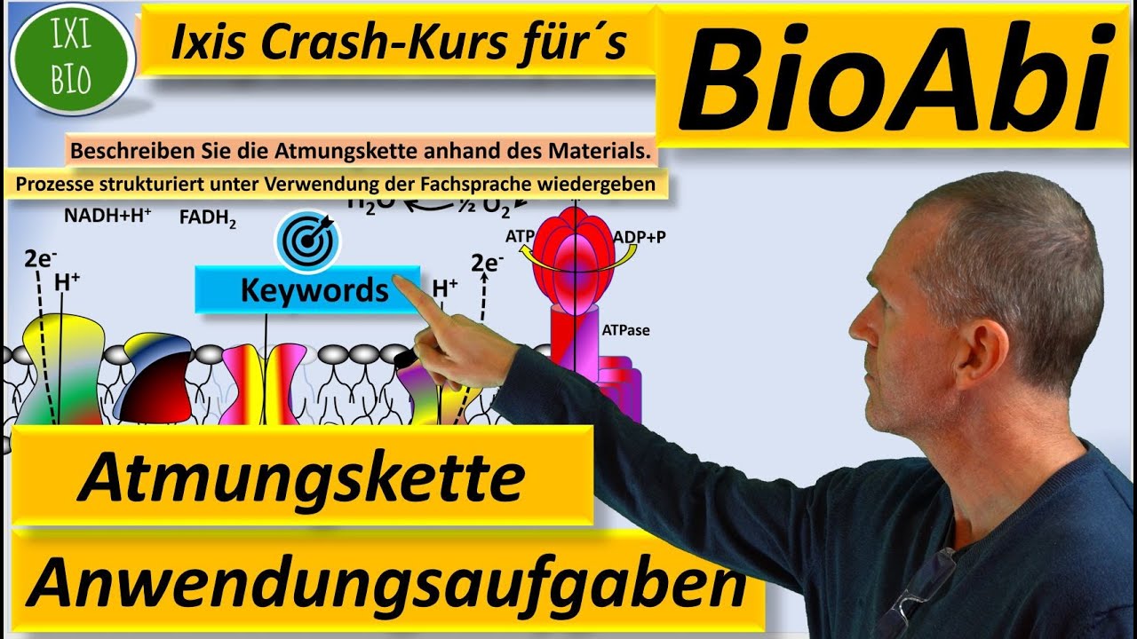 Abiturrelevante Übungen zur Atmungskette und Zellatmung - Anwendungsaufgaben Bio-Abiturvorbereitung