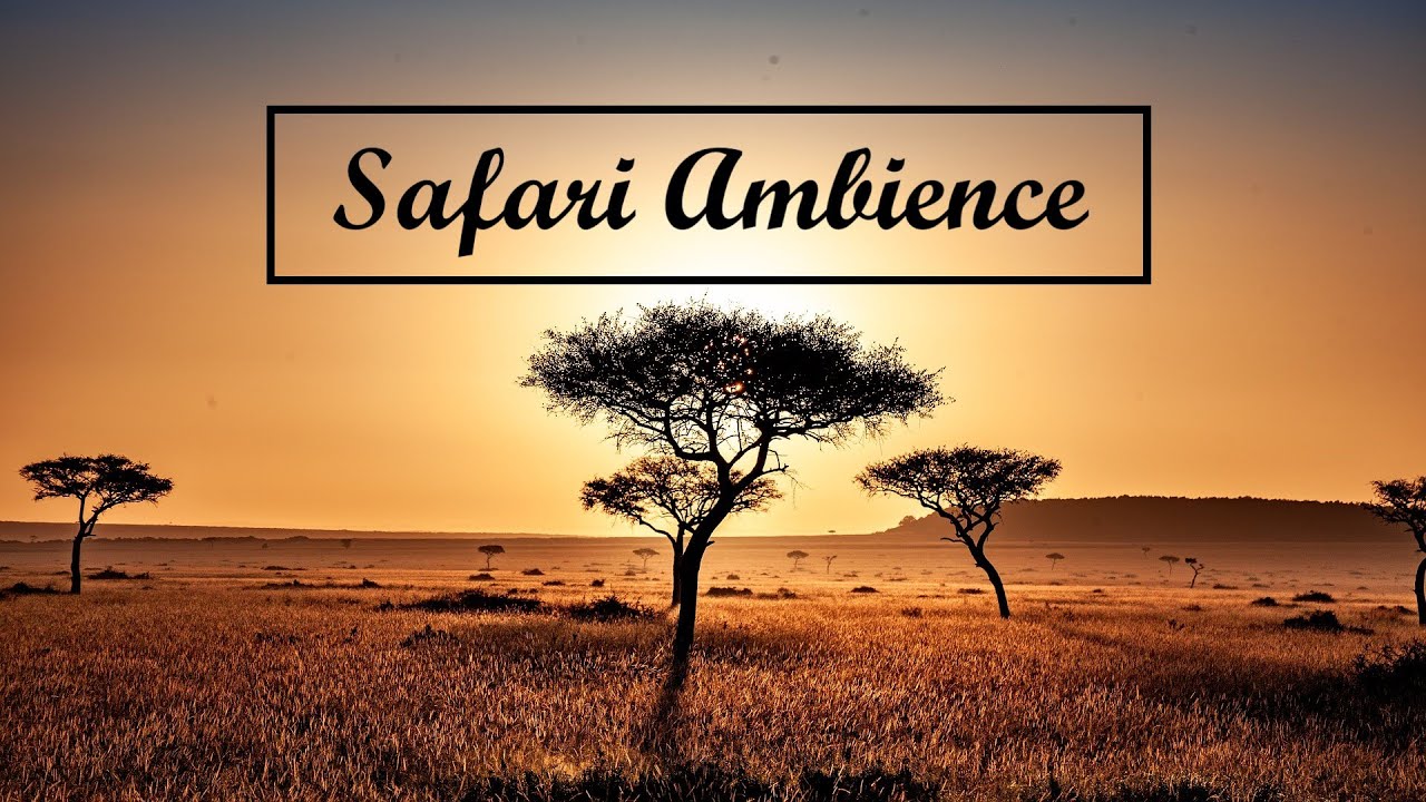SAFARI AMBIENCE | Background music in the wilderness