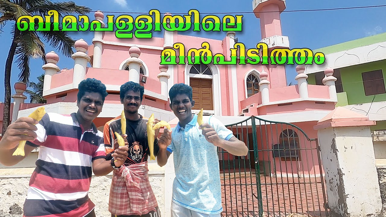 ബീമാപള്ളിയിലെ മീൻപിടിത്തം | How to catch fish in net | Kerala Fishing Videos | Uppu Vellam
