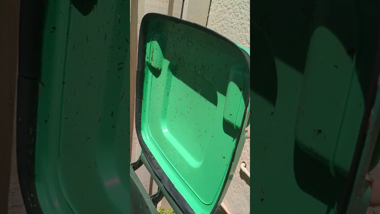 No more stinky green bin or flies. Secret hack that anyone can do. 