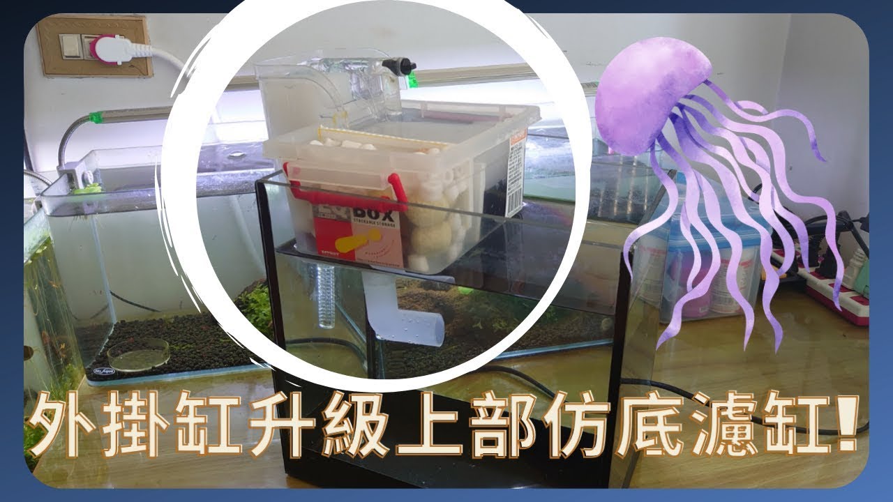 【水族DIY】外掛過濾器升級成上部仿底濾/外掛改造 ep.1/Aquarium Filter & Modifications