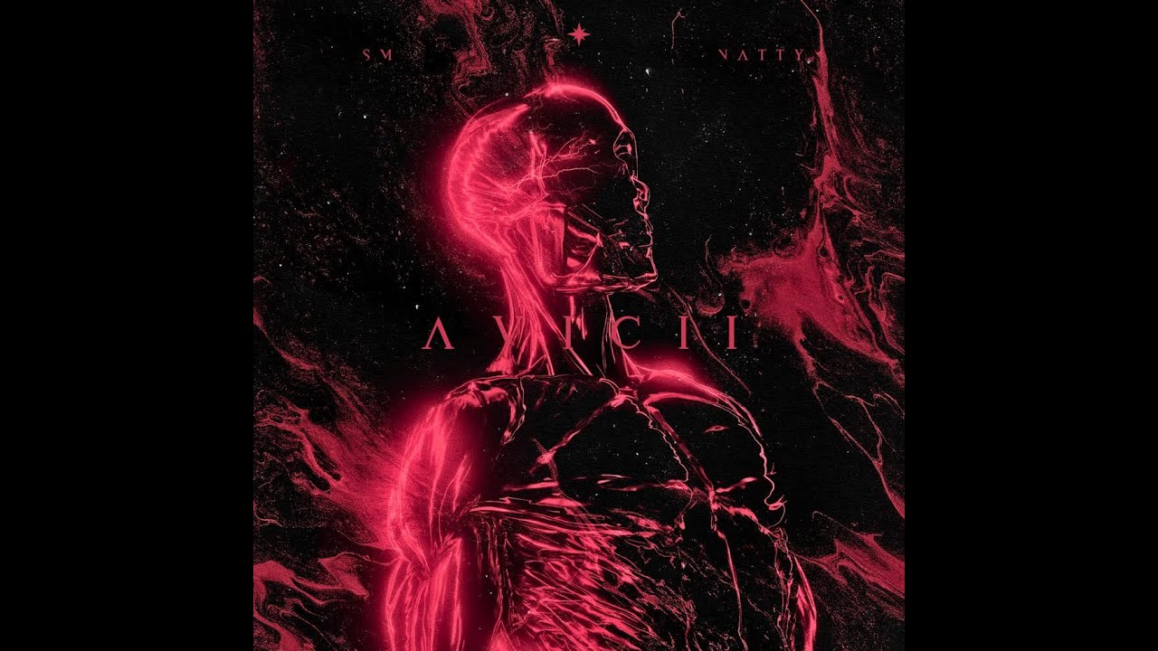 SM X NATTY-AVICII (OFFICIAL VISUALIZER)
