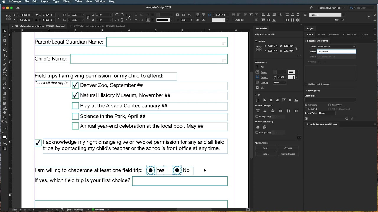 InDesign 2022 &mdash; радиокнопки на базовой форме