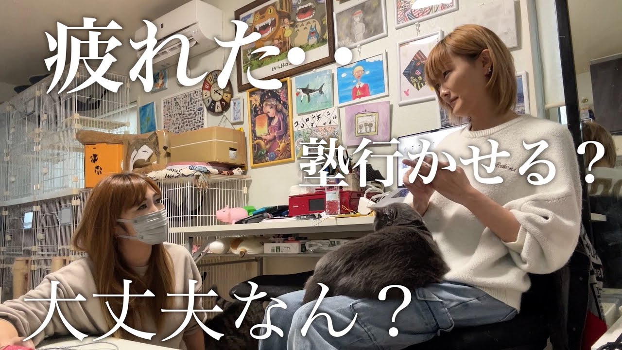 小学校の授業参観の日。母は悩んでおります・・【ココロマン普段の様子】