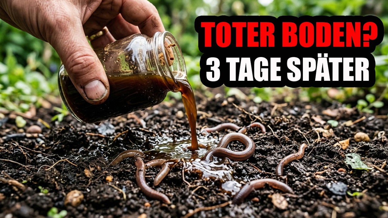Ich Goss Das Auf Toten Boden – 3 Tage Später Wimmelten Regenwürmer Überall