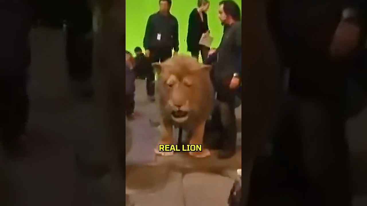 Czy Aslan był lepszy od Kr&oacute;la Lwa?