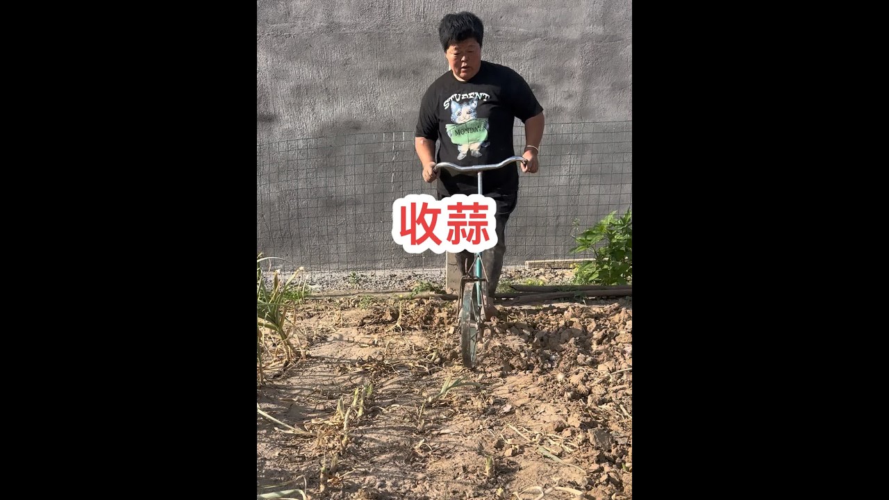 一家人一起忙碌的场景，是人间最美的一道风景线……#创作灵感 #新农人2024 #我的乡村生活 @海娇（金砖哥嫂子小号）