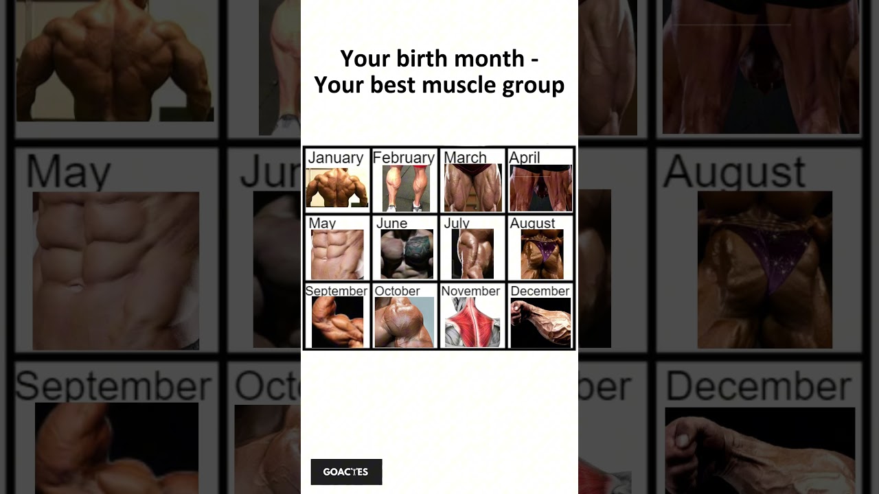 What muscle group did you get?