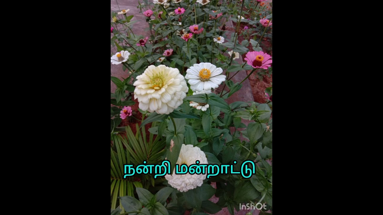 நன்றி மன்றாட்டுக்கள் 1-15