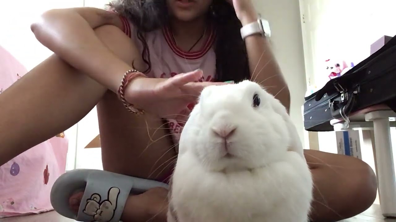 Lily is back guys!