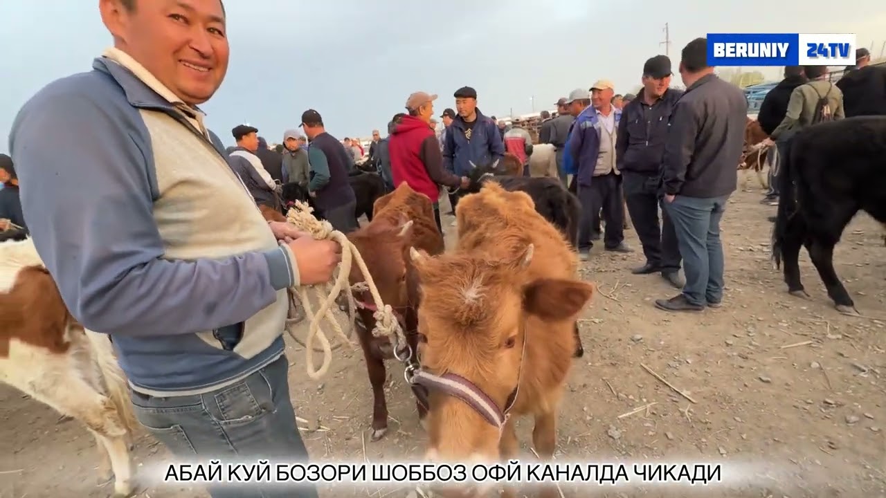 АБАЙ МКДОС МОЛ БОЗОРИ 09.04.2025