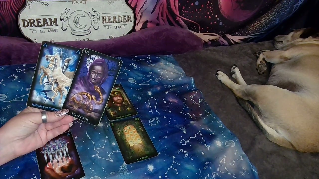 DAILY TAROT READING w/TARIA SATURDAY 20TH OF AUGUST 