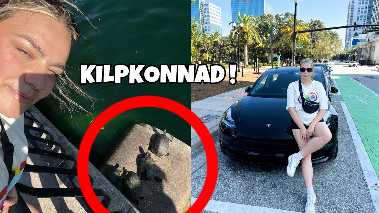 KILPKONNAD KESKLINNAS ?? // Ameerika vlog 8