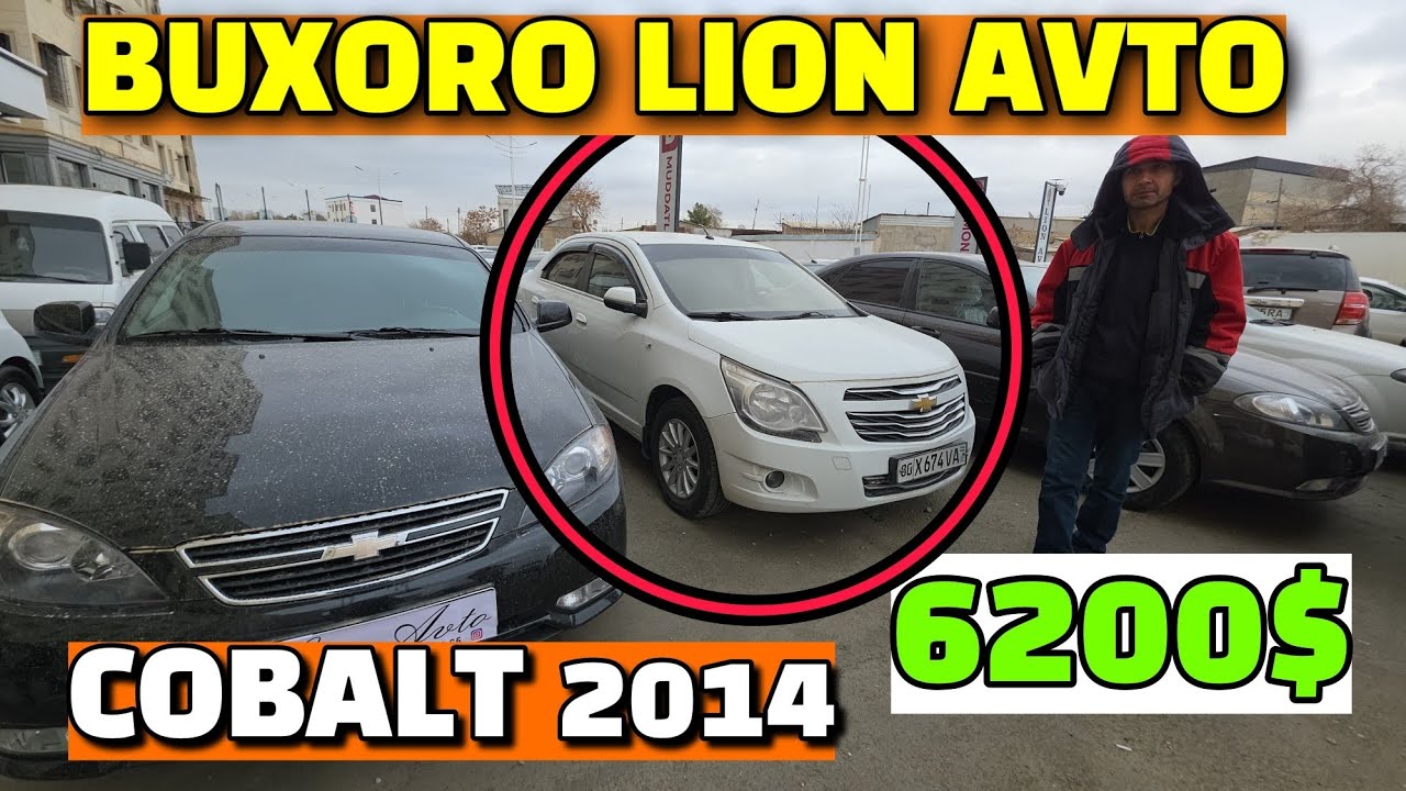 БУХОРО ЛИОН АВТО НАРХЛАРНИ ЯКСОН КИЛДИ😱05.01.2026 КОБАЛТ 6200$