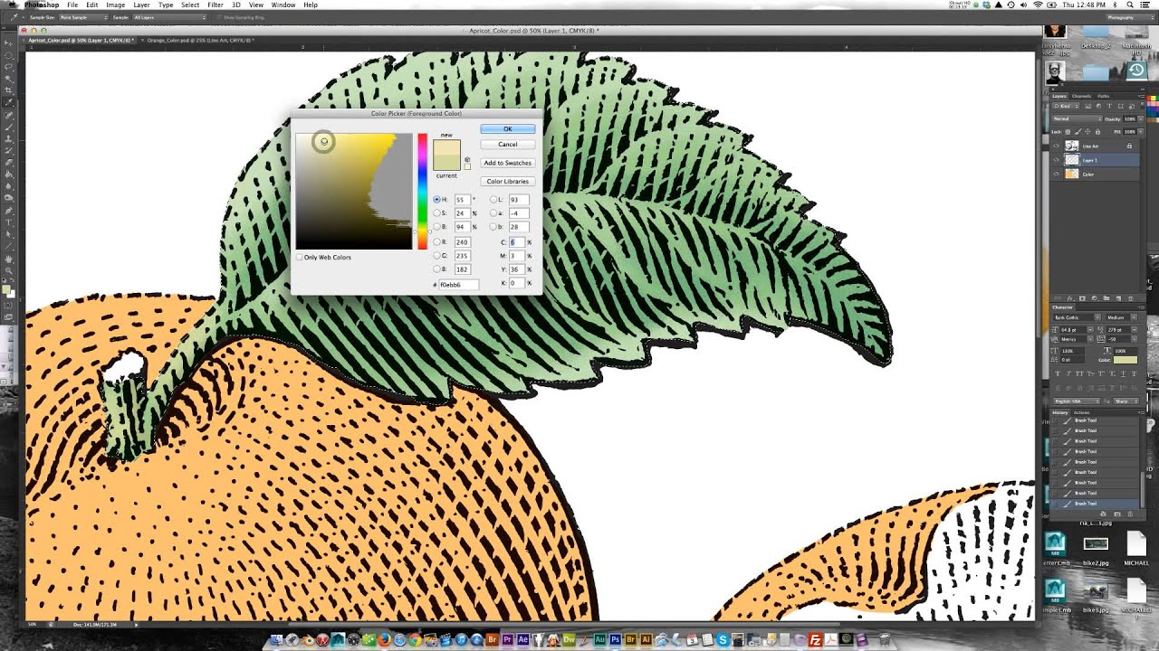 Scratchboard Illustration of an Apricote for Food Label