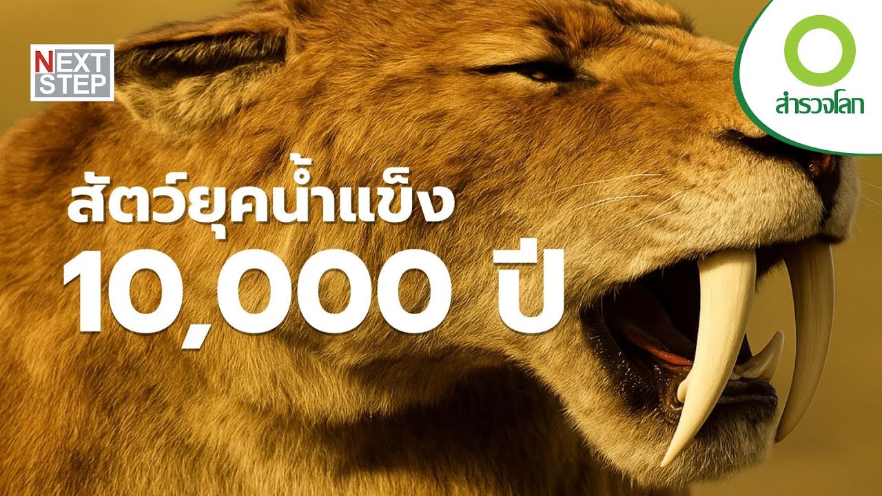 สัตว์ยุคน้ำแข็ง10,000 ปีที่แล้ว | สารคดี สำรวจโลก