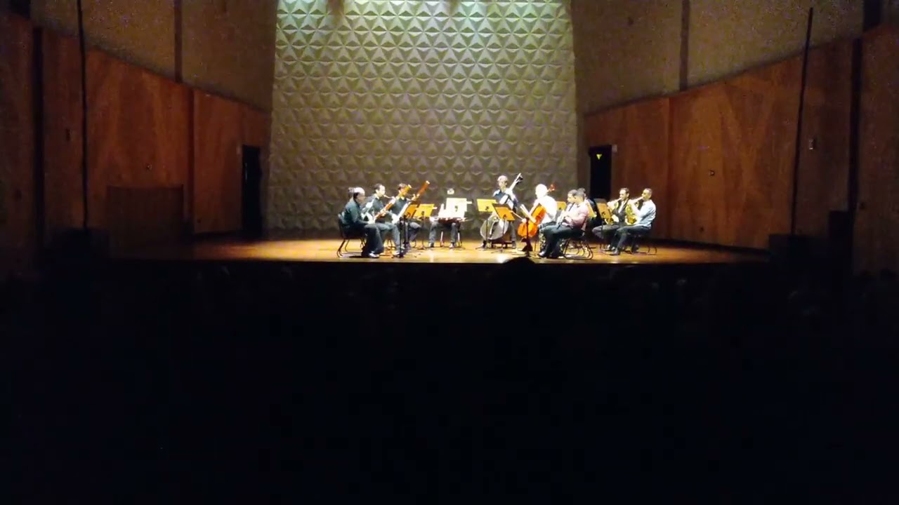 A. Dvorak — Serenata em Ré menor, op. 44 — 2. Tempo di minuet - Trio. Presto