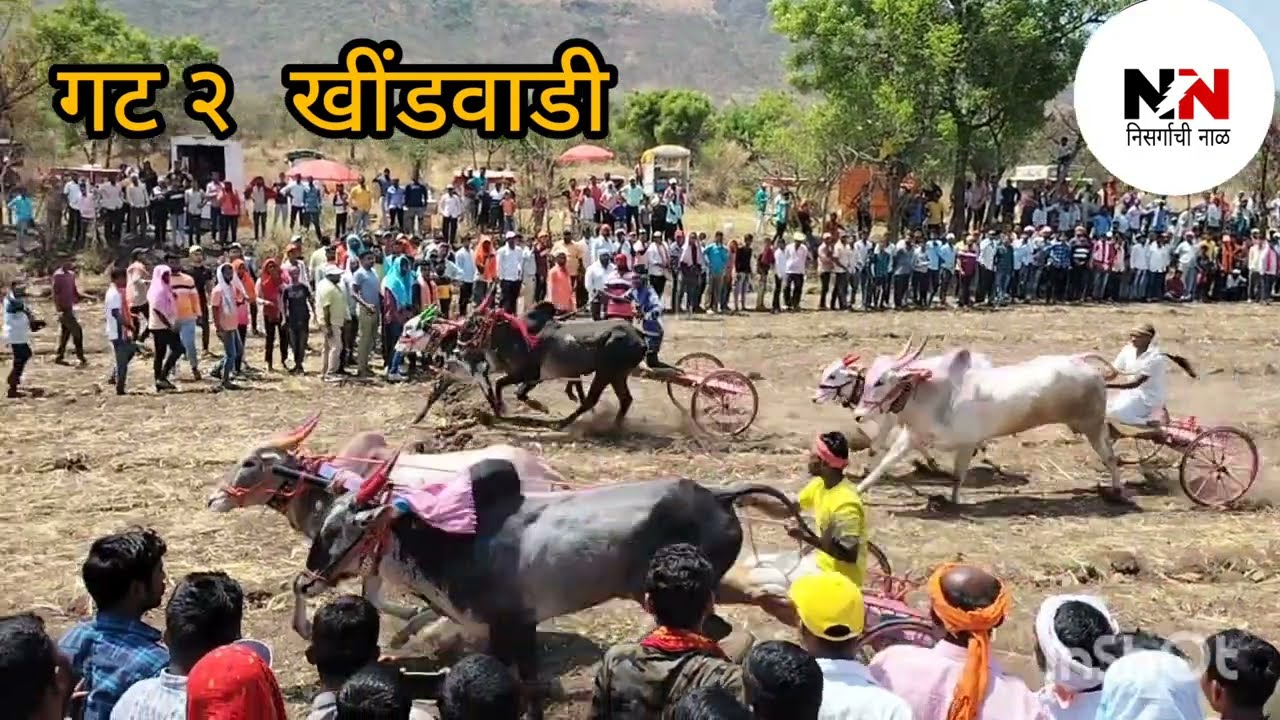 खिंडवाडी गट क्रमांक 2 निकाल जोतिरलिंग प्रसन्न कासारवाडी #बैलगाडी #nisrgachinal