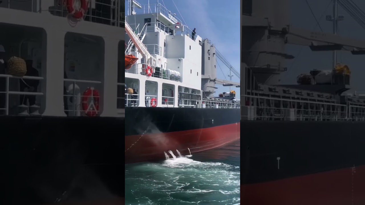 General Cargo Ship Departure #shorts #ship #story