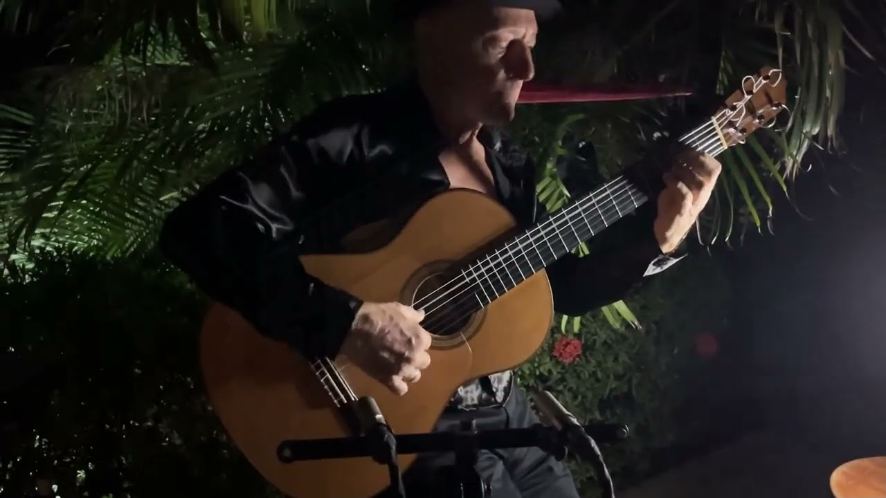 Agua e Vinho by Egberto Gismonti guitar & string quartet