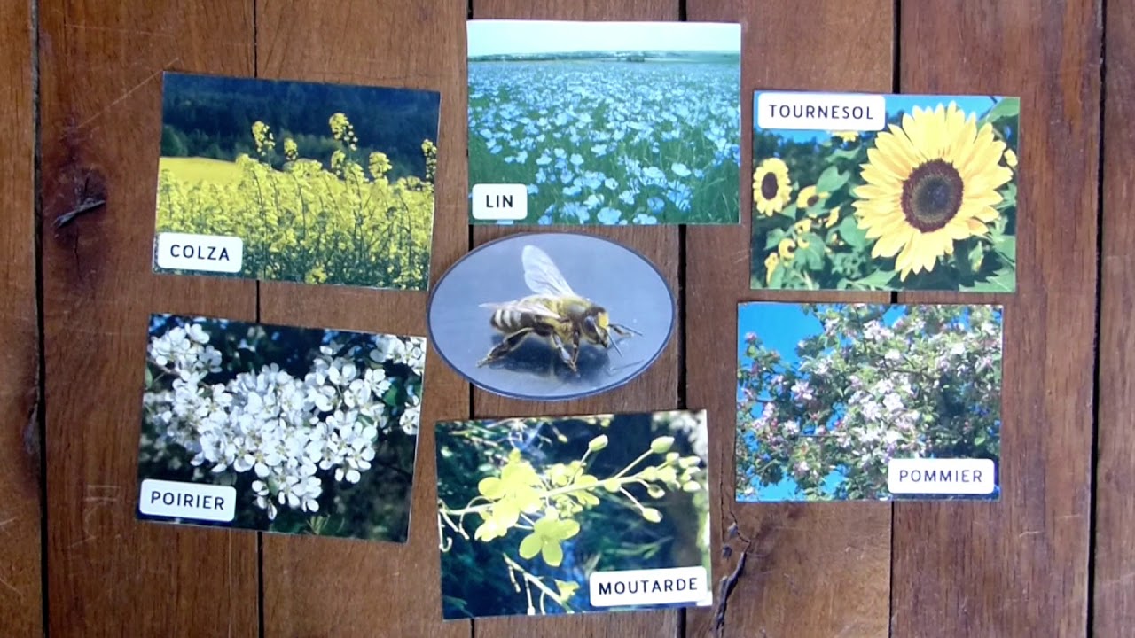 Les services rendus par la biodiversité (Biodiversité & agriculture 1/9)