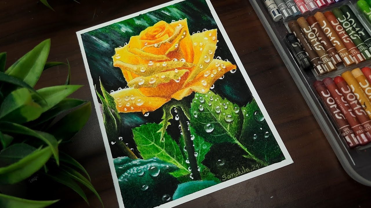 Beautiful yellow rose flower drawing, How to draw beautiful yellow rose, Oil pastel drawing