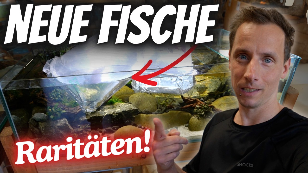 Unglaubliche Rarit&auml;ten f&uuml;rs Biotop-Aquarium! | Fisch Unboxing