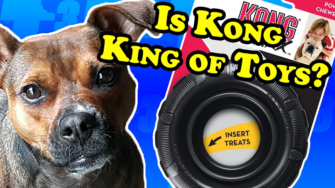 Is Kong KING of dog toys? - Dog Toy Reviews | Kong Traxx