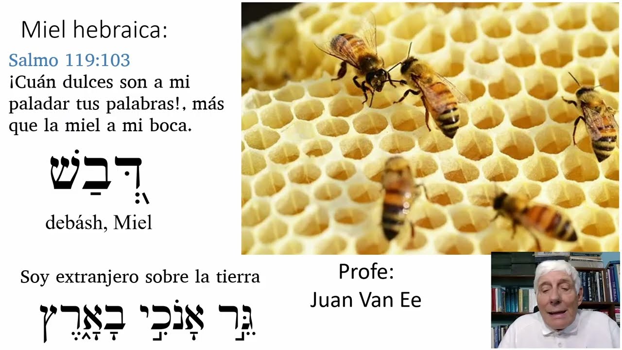 Soy extranjero sobre la tierra