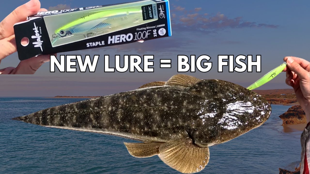 HUGE Flathead LOVE this NEW LURE!