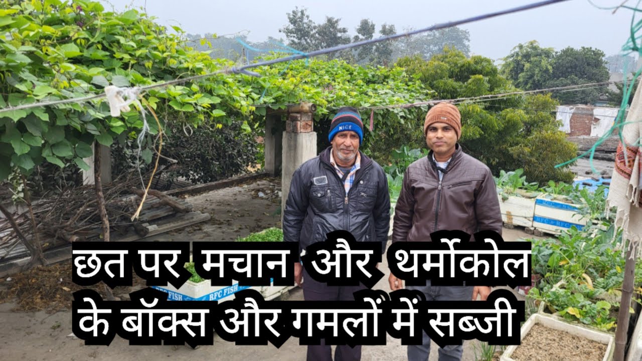 Terrace Kitchen Gardening in Winter 